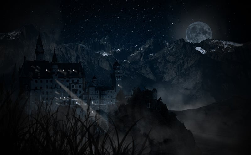Moonlit Enchantment